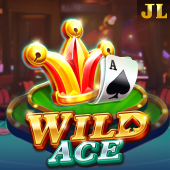 365 login Wild Ace slot